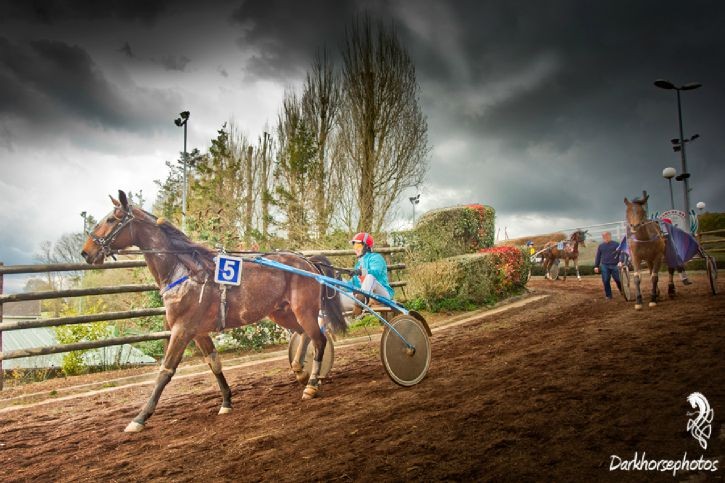 Graignes Hippodrome Petite Vincennes